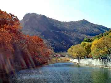 管家婆黑白马报图库，大叶女贞产地